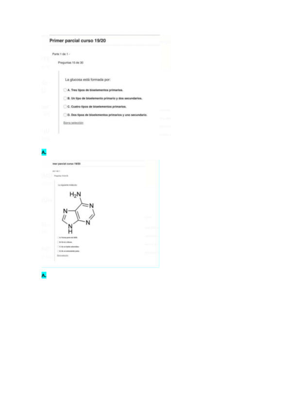 Miniatura del documento Parcial-2019.pdf