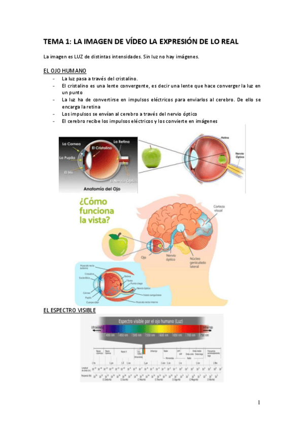 Miniatura del documento TEMA-1.pdf