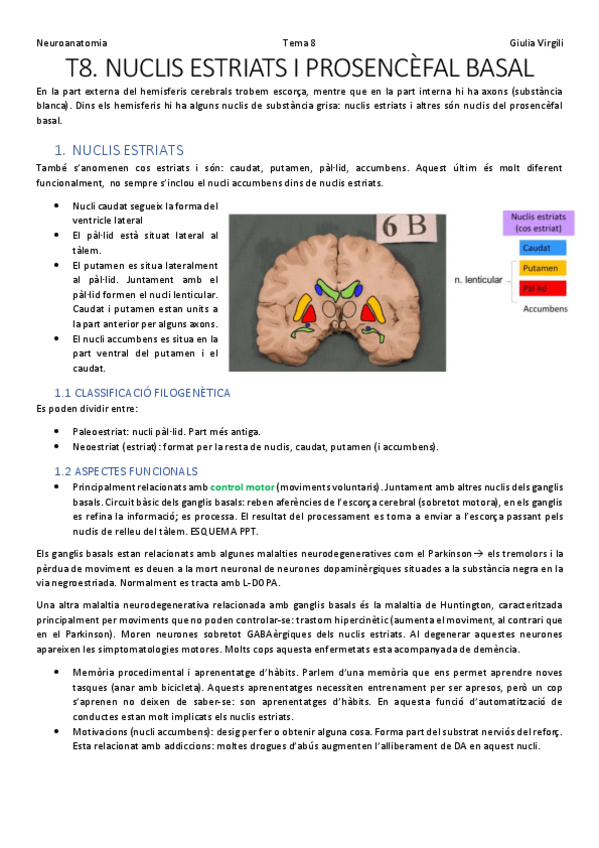 Miniatura del documento T8. nuclis estriats i prosencèfal basal.pdf