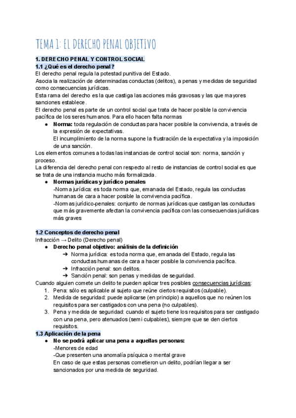 Miniatura del documento RESUMEN-COMPLETO-12-TEMAS-DERECHO-PENAL.pdf