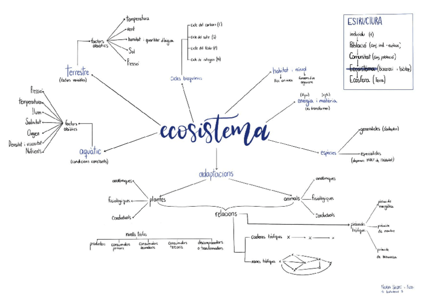 Miniatura del documento Esquema-ecosistema.pdf