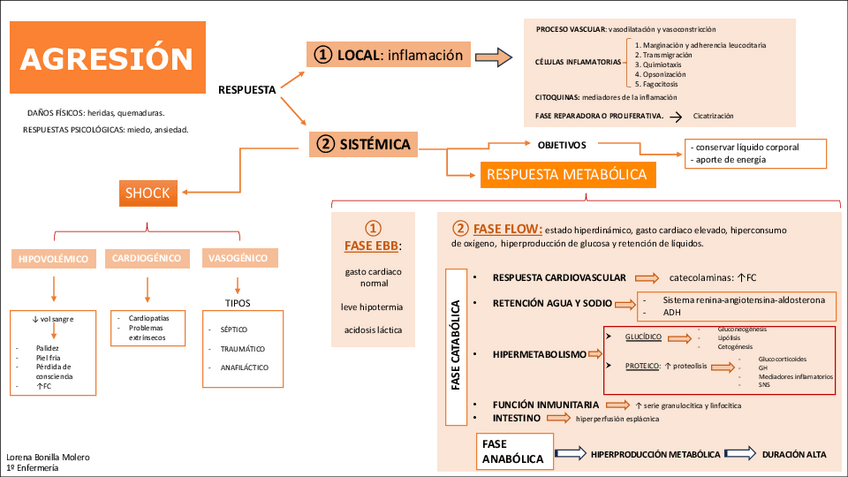 Miniatura del documento Mapa-conceptual-AGRESION.pdf