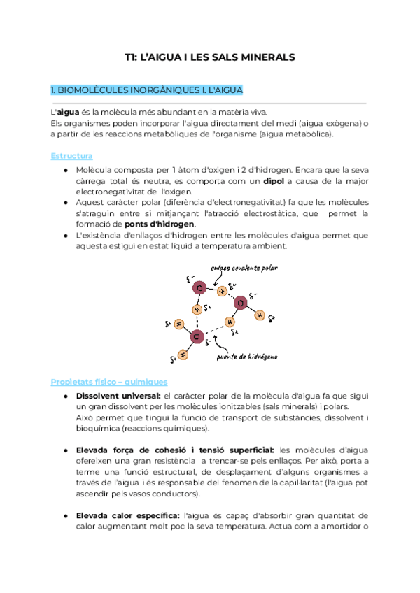 Miniatura del documento T1-LAIGUA-I-LES-SALS-MINERALS.pdf