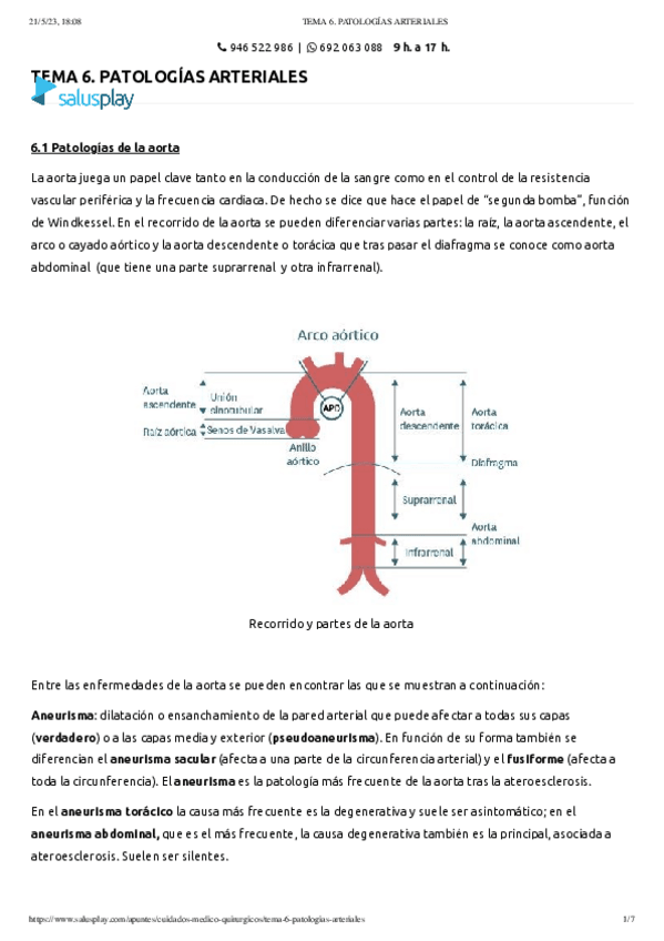 Miniatura del documento TEMA-6.-PATOLOGIAS-ARTERIALES.pdf