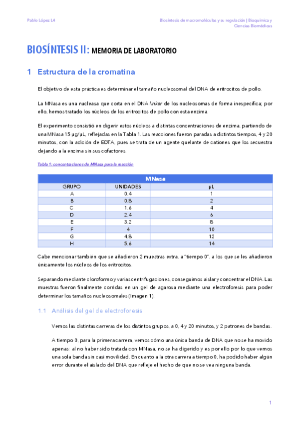 Miniatura del documento Memoria-Biosintesis.pdf
