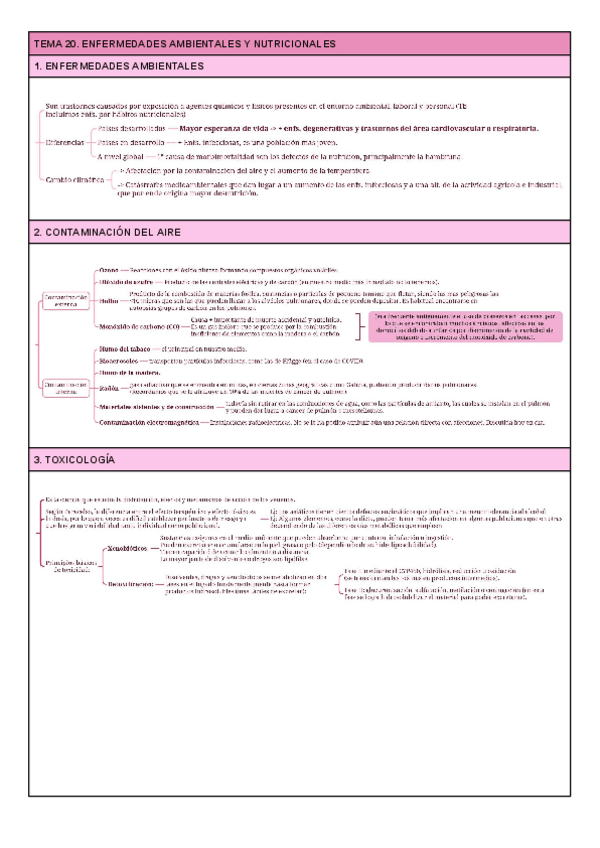 Miniatura del documento TEMA-20.pdf