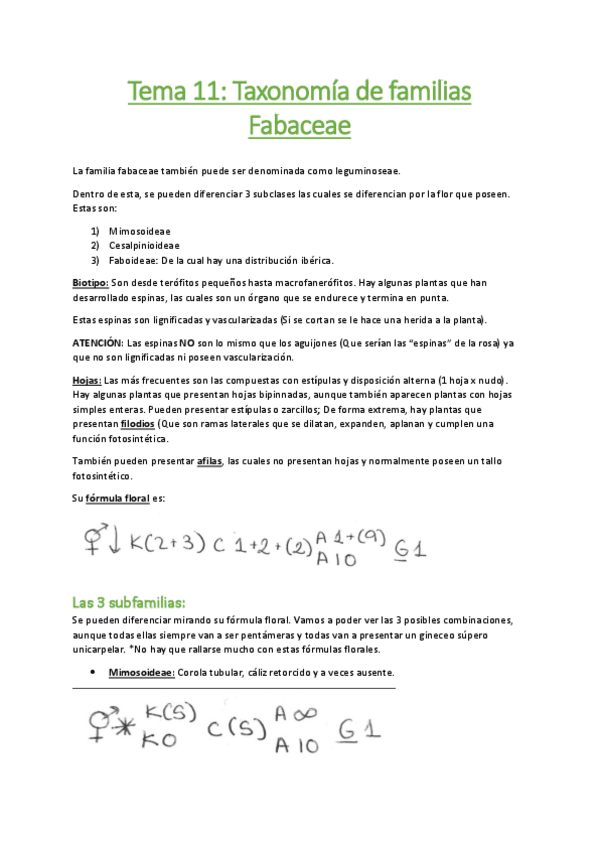 Miniatura del documento Tema-11-Taxonomia-de-familias-Fabaceae-from-Claudia.pdf