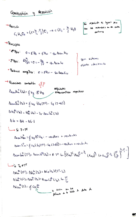 Miniatura del documento FORMULARIO-COMBUSTION-reposicion-termoaplicada.pdf
