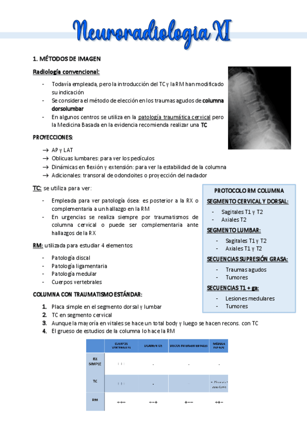 Miniatura del documento NEURO-XI.pdf