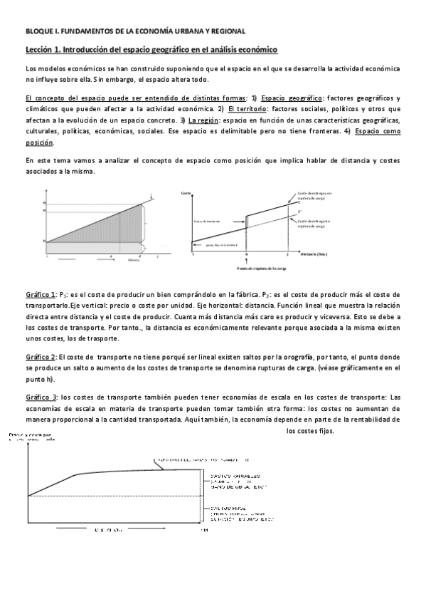 Miniatura del documento apuntes-regional.pdf