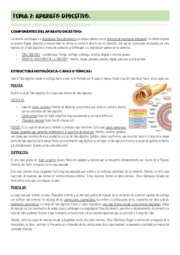 Miniatura del documento TEMA-7-APARATO-DIGESTIVO.pdf