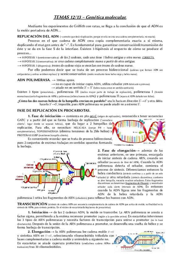 Miniatura del documento Temas-12-y-13-biologia-2BACH.pdf
