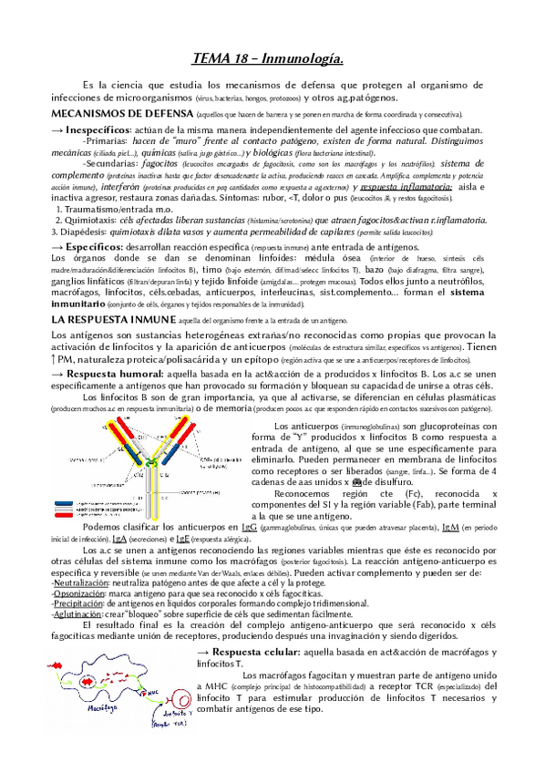 Miniatura del documento Tema-18-biologia-2BACH.pdf