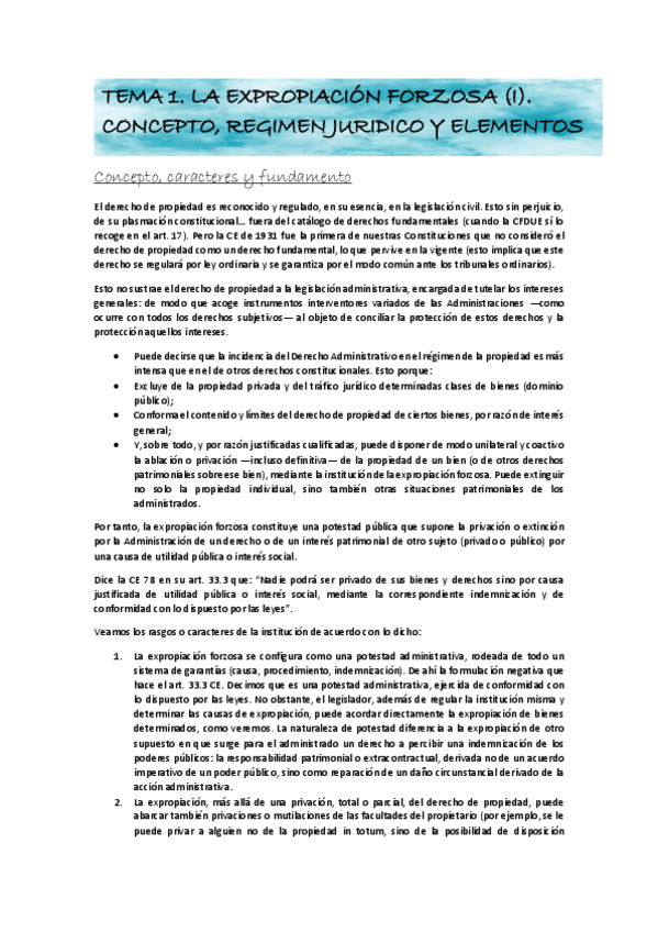 Miniatura del documento Admin-III.-Tema-1.pdf