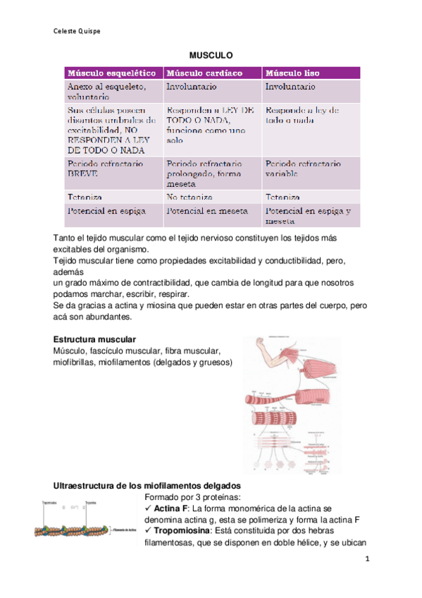 Miniatura del documento fisiologia-del-musculo.pdf