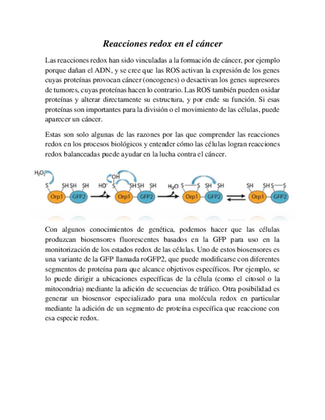 Miniatura del documento Reacciones-redox-en-el-cancer.pdf