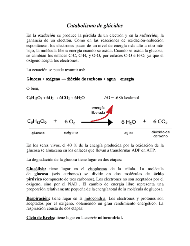 Miniatura del documento Catabolismo-de-glucidos.pdf
