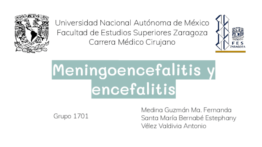 Miniatura del documento 46.-Encefalitis-y-meningoencefalitis.pdf