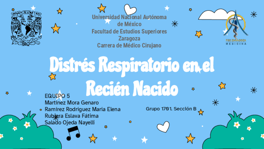 Miniatura del documento Distres-Respiratorio-en-RN.pdf