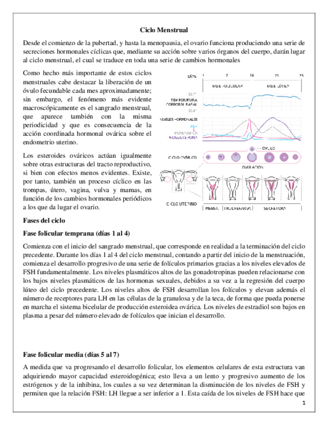 Miniatura del documento Ciclo.pdf