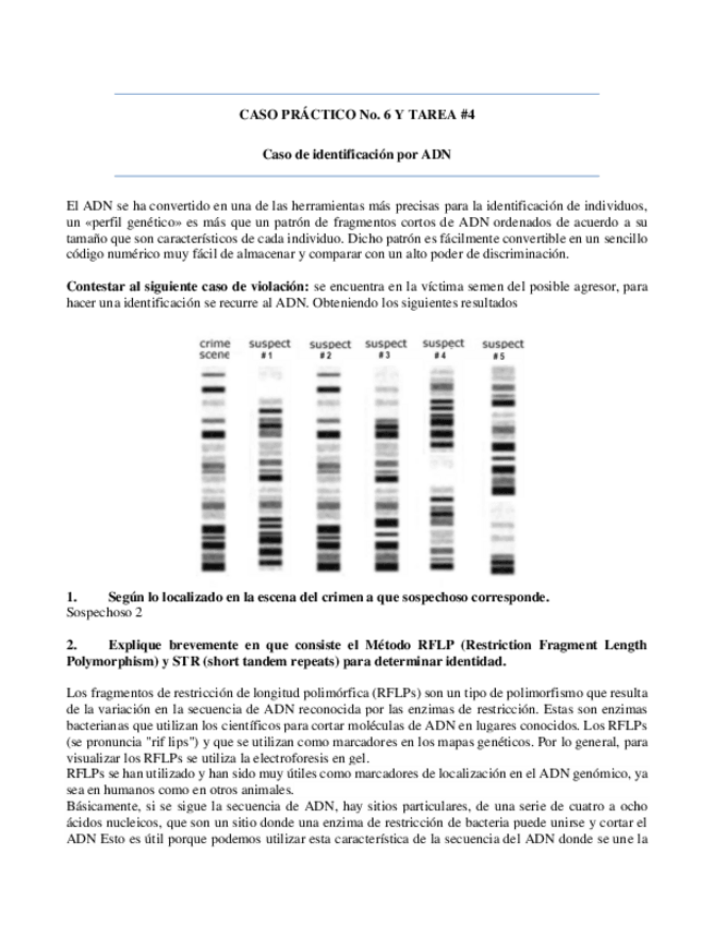 Miniatura del documento Caso-6.pdf