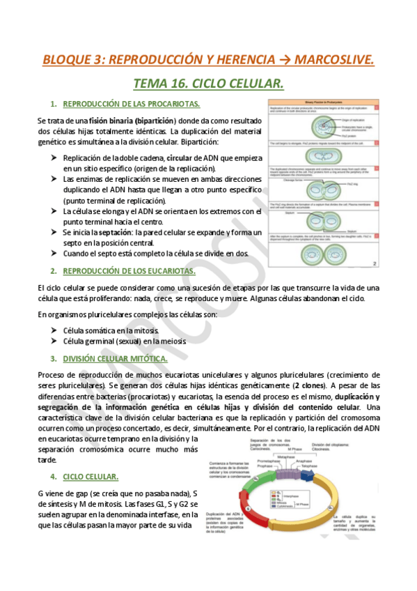 Miniatura del documento Bloque-3.-Reproduccion-y-herencia..pdf
