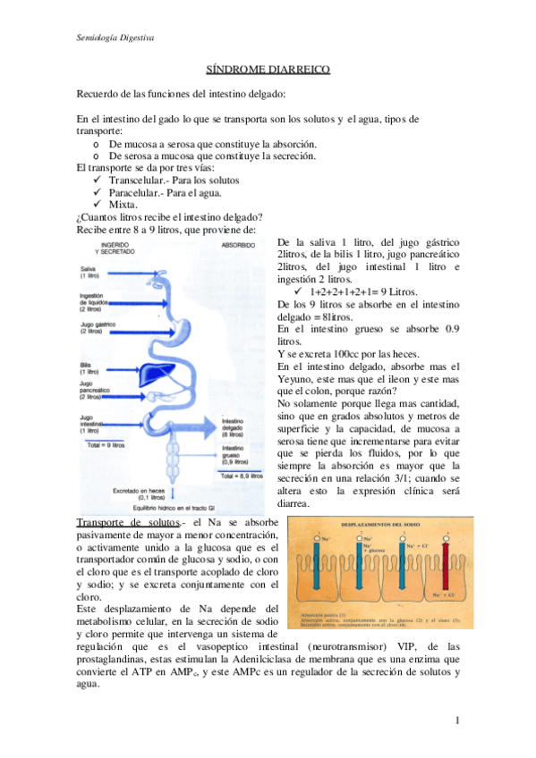Miniatura del documento 8.-Sx-diarreico.pdf