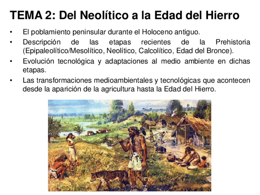 Miniatura del documento Tema-2.-Del-Neolitco-a-la-Edad-Hierro1.pdf