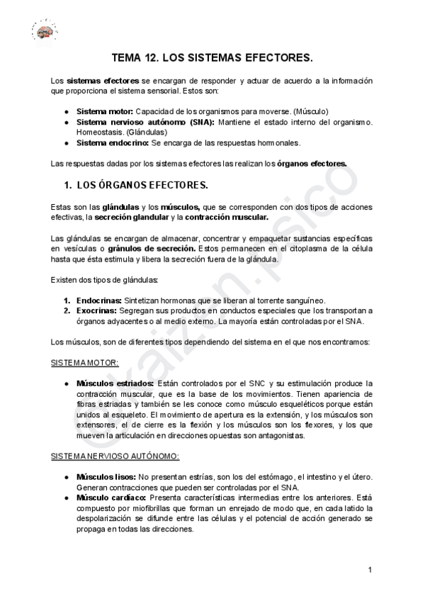 Miniatura del documento TEMA-12-SISTEMAS-EFECTORES.pdf