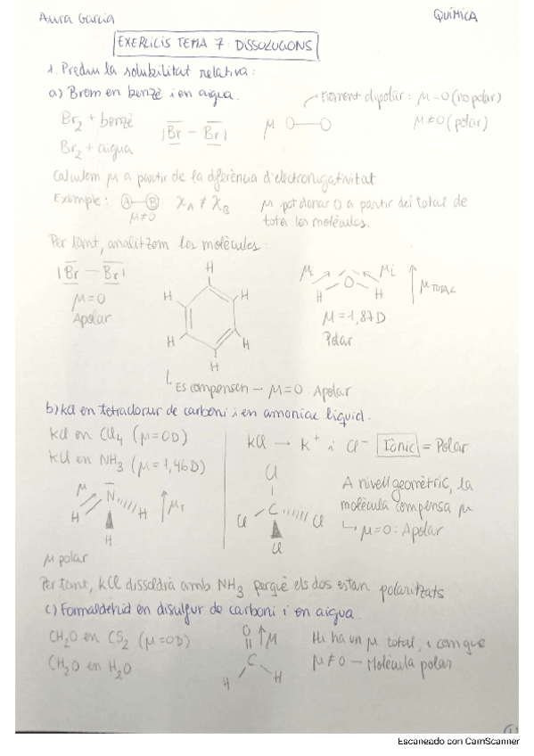 Miniatura del documento Exercicis-Dissolucions.pdf