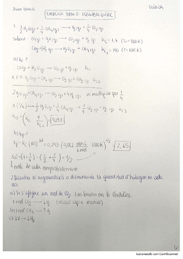Miniatura del documento Exercicis-Equilibri-Quimic.pdf