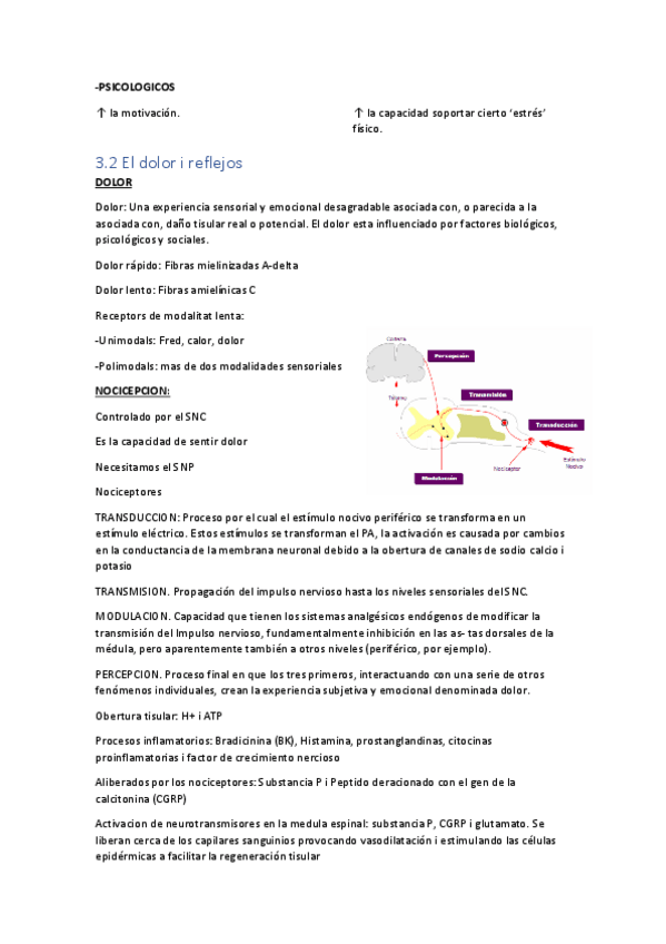 Miniatura del documento Resumen-dolor-y-reflejos-fisio-I.pdf