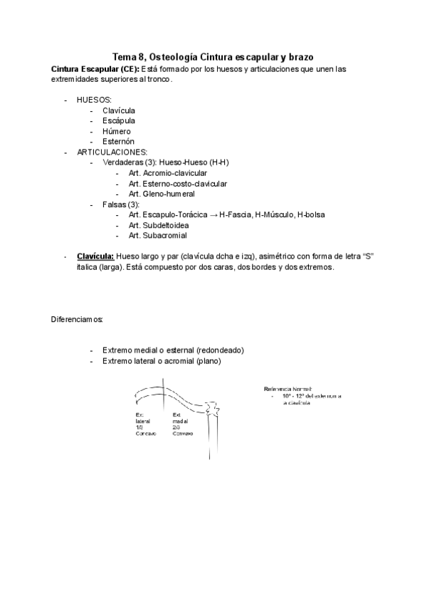 Miniatura del documento Osteologia-Miologia-y-Artrologia-Cintura-Escapular--Brazo.pdf