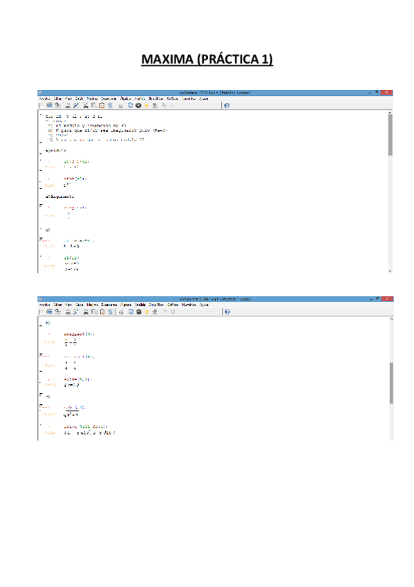 Miniatura del documento MAXIMA (Práctica 1).pdf