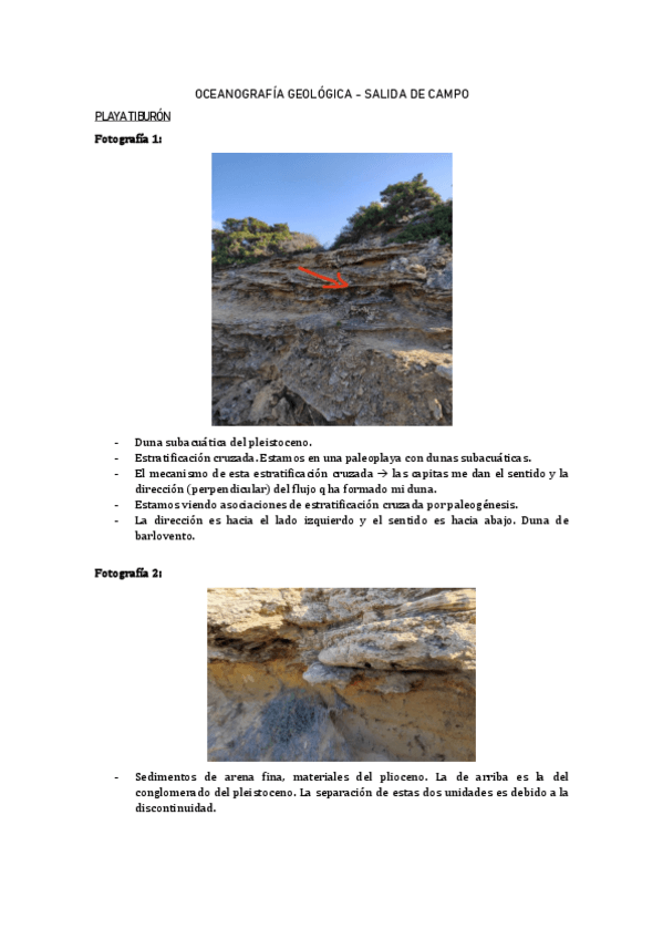 Miniatura del documento SALIDA-DE-CAMPO.pdf