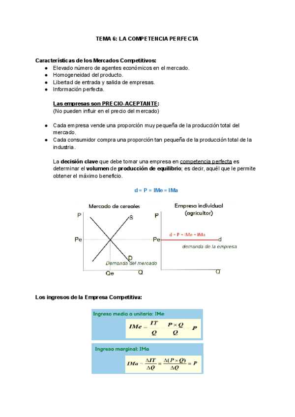 Miniatura del documento APUNTES-ECONOMIA-6-11.pdf