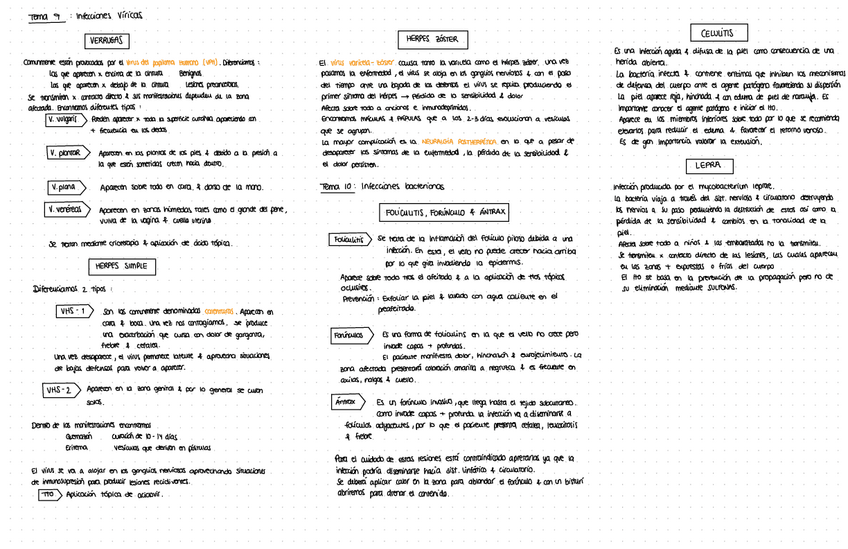 Miniatura del documento Esquemas-clinica-II-t13-22.pdf