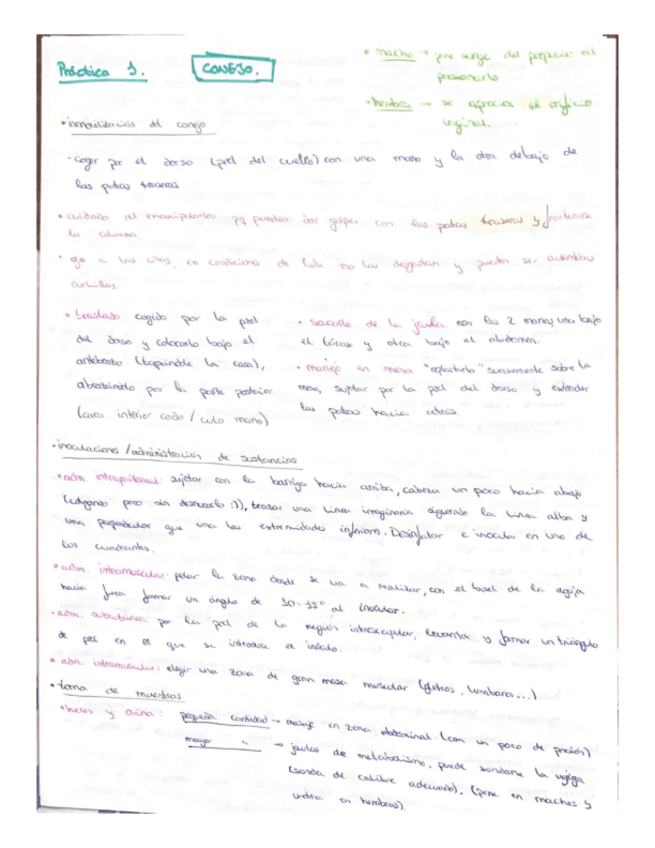 Miniatura del documento Practicas-fisio.pdf