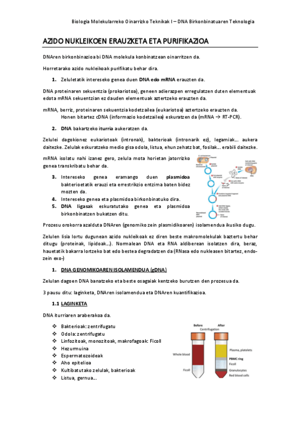 Miniatura del documento AZIDO-NUKLEIKOEN-ERAUZKETA-ETA-PURIFIKAZIOA.pdf