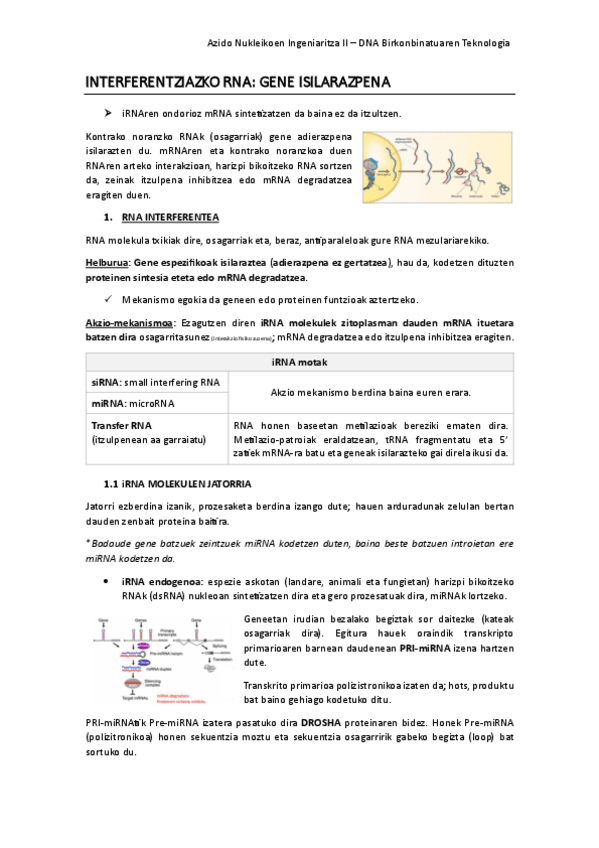 Miniatura del documento INTERFERENTZIAZKO-RNA.pdf