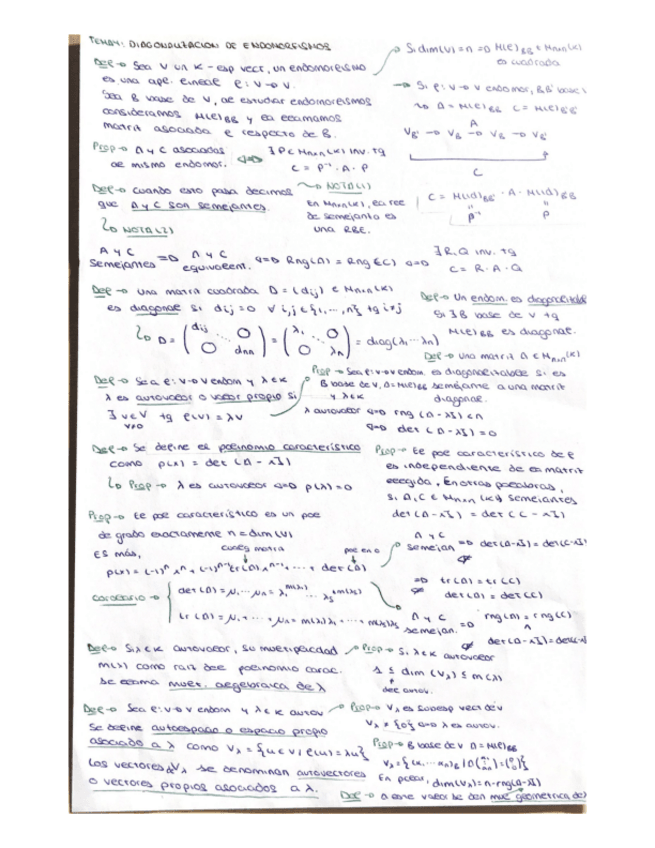 Miniatura del documento ResumenDiagonEndomorfismos-AL.pdf
