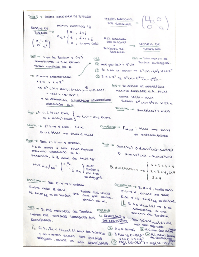 Miniatura del documento ResumenFormaCanonicaJ-AL.pdf