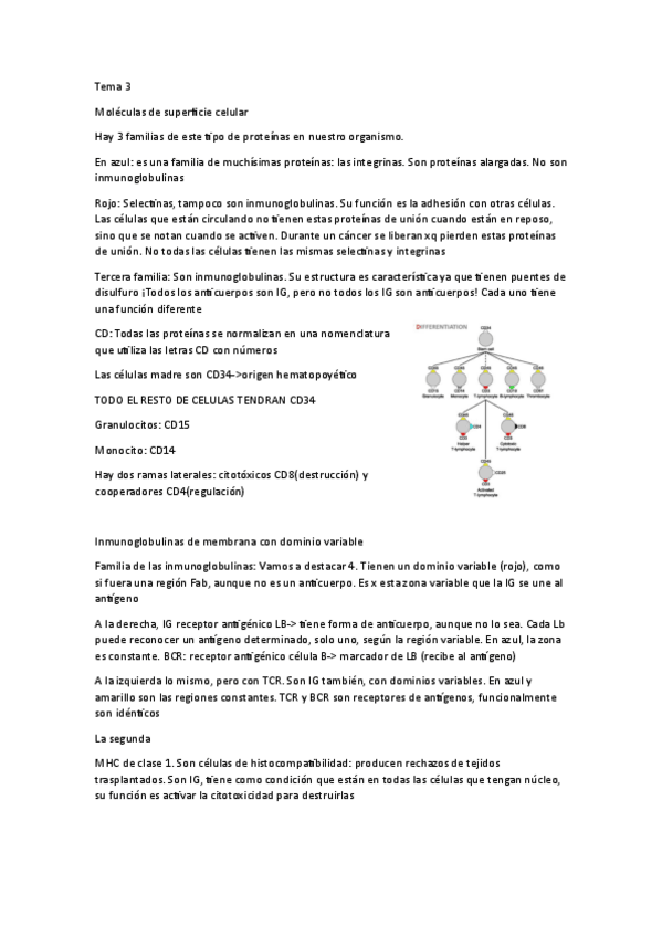 Miniatura del documento Inmunologia-Tema-3.pdf