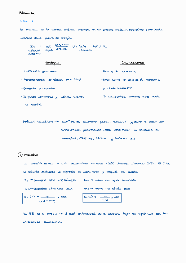 Miniatura del documento Biomasa-ERT-sesion-1.pdf