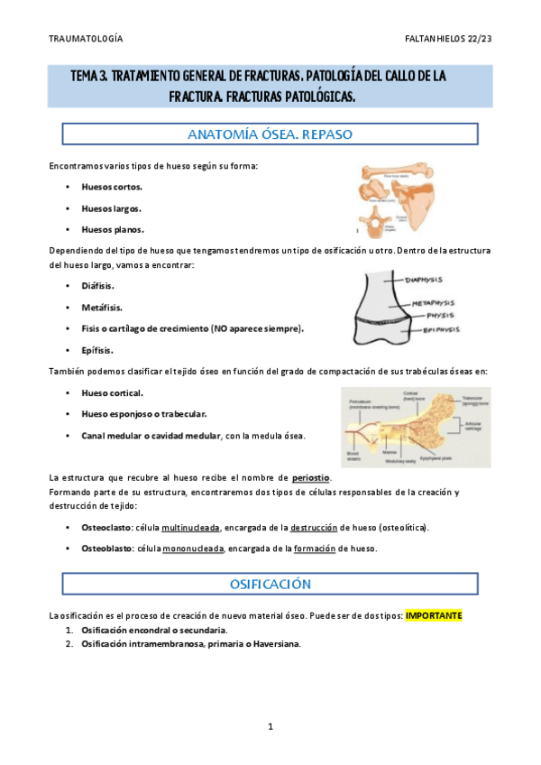Miniatura del documento 3.-Tratamiento-general-de-fracturas.-Patologia-del-callo-de-la-fractura.-Fracturas-patologicas.pdf
