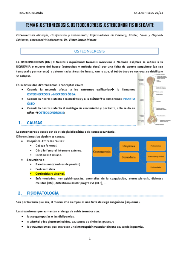 Miniatura del documento 6.-Osteonecrosis-osteocondrosis-osteocondritis-disecante.pdf