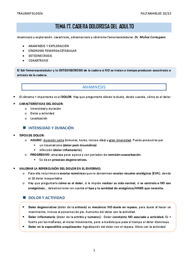 Miniatura del documento 17.-Cadera-dolorosa-del-adulto.pdf