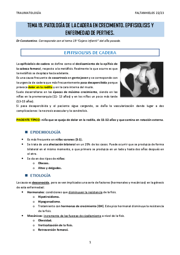 Miniatura del documento 19.-Patologia-de-la-cadera-en-crecimiento.-Epifisiolisis-y-enfermedad-de-Perthes.pdf