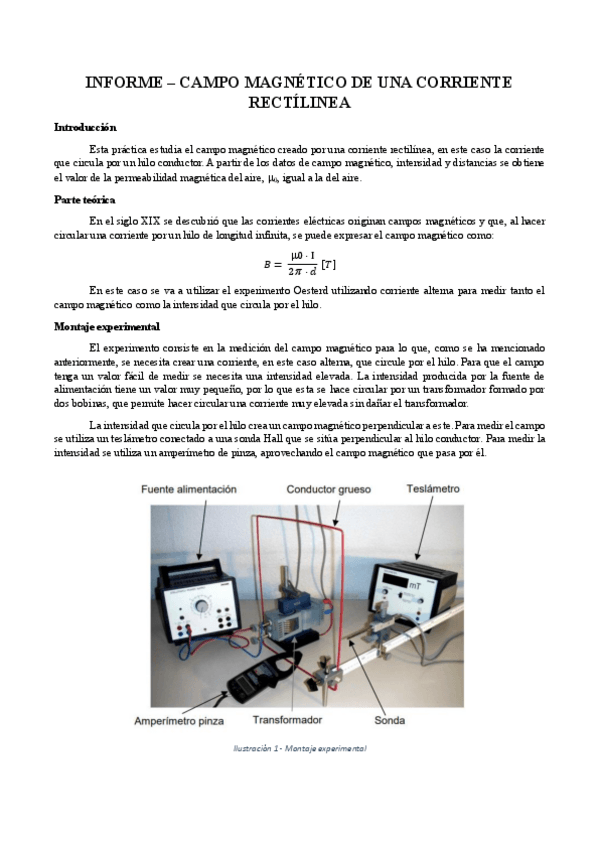 Miniatura del documento Informe-Campo-Magnetico.pdf