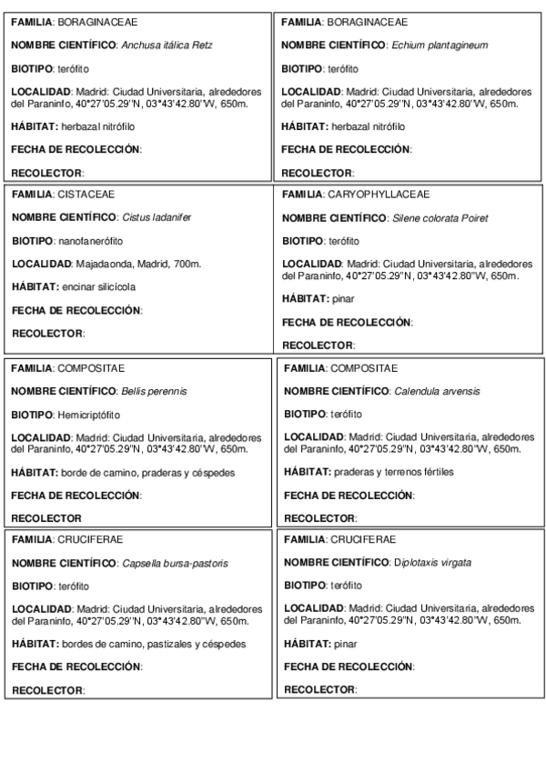 Miniatura del documento FICHAS-HERBARIO.pdf